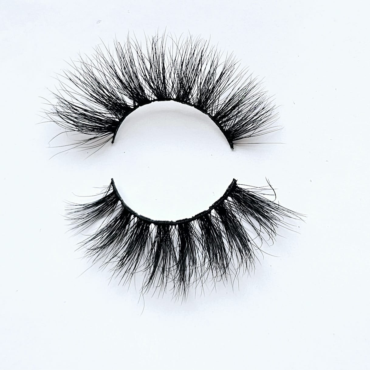Tashie a bold and beautiful look faux mink lash